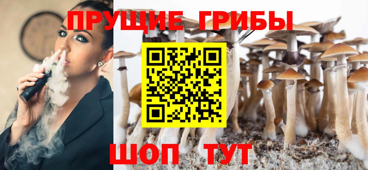 Петрозаводск  Псилоцибиновые грибы MAGIC MUSHROOMS  Вход с VPN 